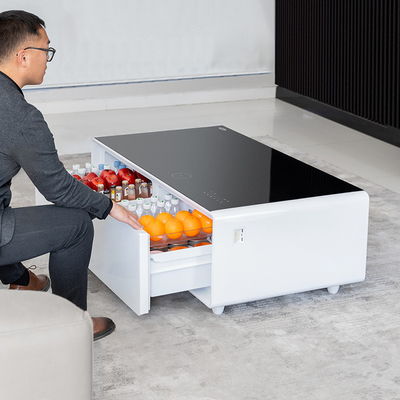 PORTABLE 2024 Primst Smart Refrigerator Tavolo da caffè Mini Frigo Tavolo con ricarica wireless lettore musicale Per Office Hotel