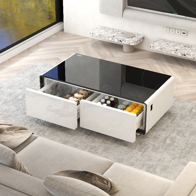 PORTABLE 2024 Primst Smart Refrigerator Tavolo da caffè Mini Frigo Tavolo con ricarica wireless lettore musicale Per Office Hotel