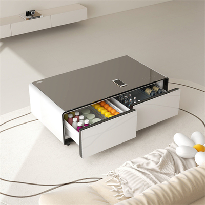 Stampa 3D Mini Bar Frigorifero a doppia porta con Smart Touch Screen e Compressore