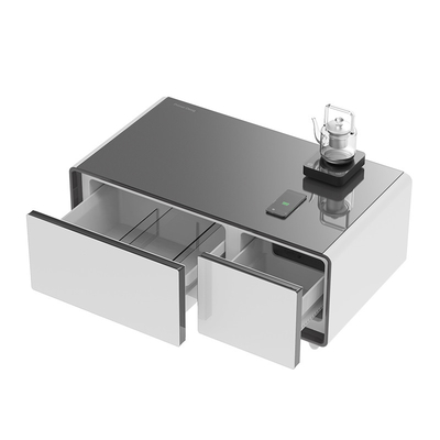 Mini frigorifero a stampo privato Intelligent Touch Screen Control Table per lo stoccaggio delle bevande