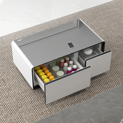 Stampa a schermo di seta PRIMST 2024 Refrigeratore a ricarica wireless per ufficio domestico