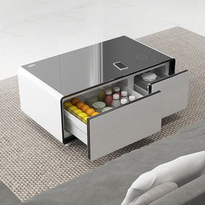 Stampa a schermo di seta PRIMST 2024 Refrigeratore a ricarica wireless per ufficio domestico