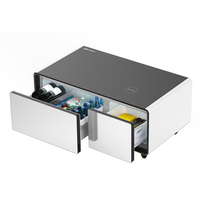 Moderno Design Stile 2024 93L Piccolo frigorifero Smart Coffee Table Frigorifero a doppia porta Freezer