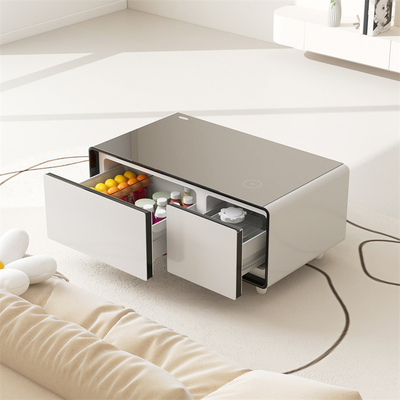 Classificazione di efficienza energetica di grado 2 Refrigeratore per lettori musicali per salotto di lusso